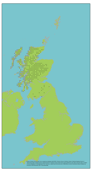 Genetic Scorecard Indicator - distribution map for Golden Eagle 