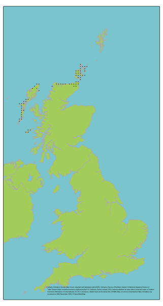 Genetic Scorecard Indicator - distribution map for the great yellow bumblebee