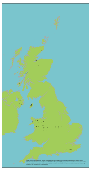 Genetic Scorecard Indicator - distribution map for Balerina Waxcap