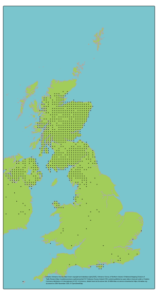 Genetic Scorecard Indicator - distribution map for red squirrel 