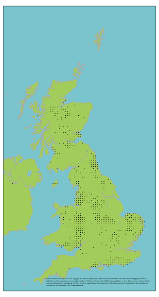 Genetic Scorecard Indicator - distribution map for Scots Pine