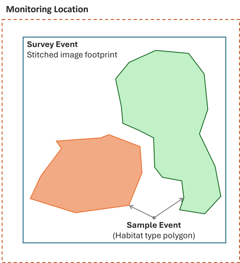 Illustration of the data structure for habitat polygon surveys generated from aerial imagery.  