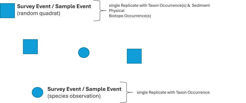 Illustration of the data structure for random quadrat or species observation data.