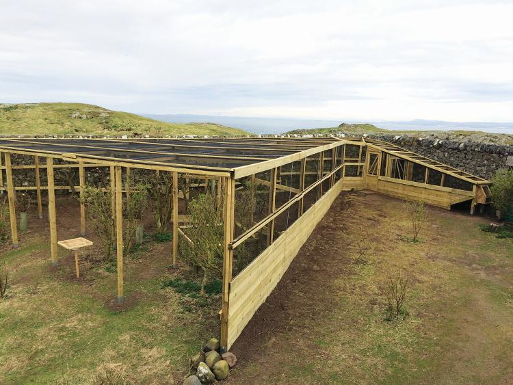A specialist Heligoland trap designed to catch birds for ringing.