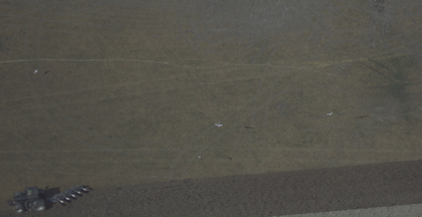 Aerial image of three white birds flying over dark farm land.