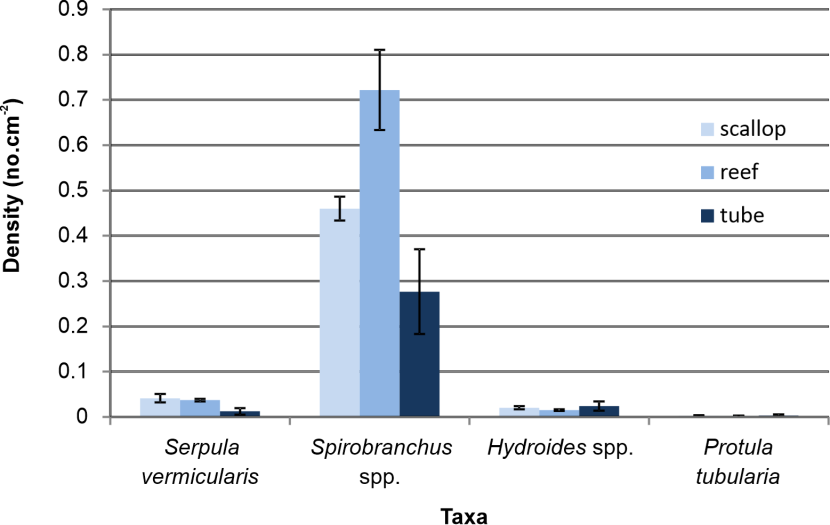 Bar graph comparing serpulid recruitment to three substrates.