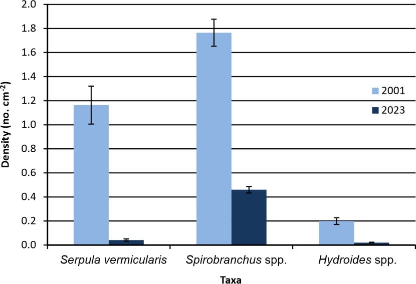 Bar graph comparing serpulid recruitment in 2001 and 2023.