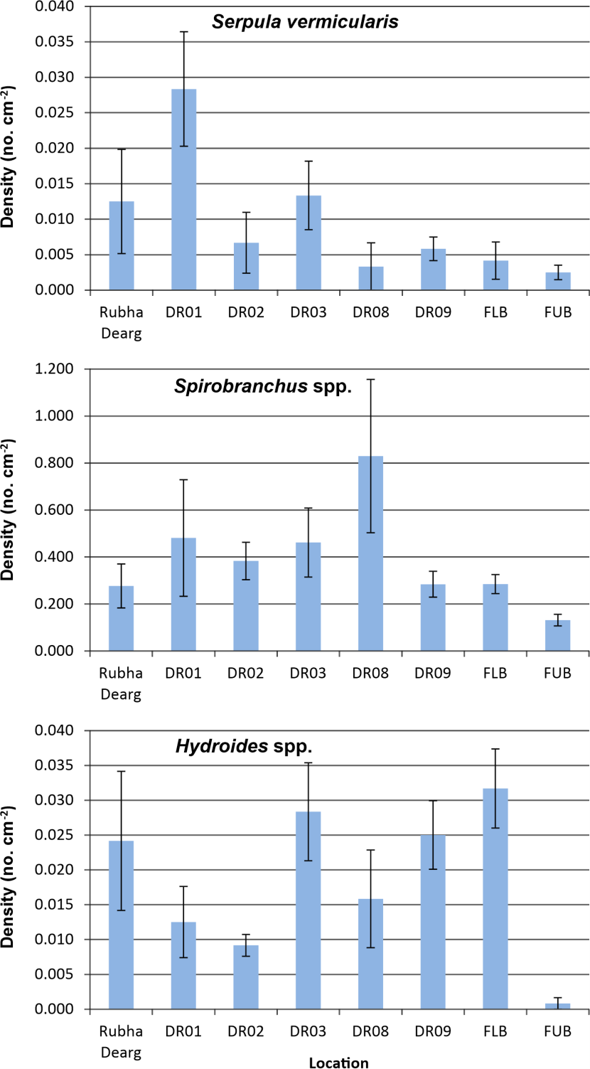 Bar graph comparing serpulid recruitment at eight locations.
