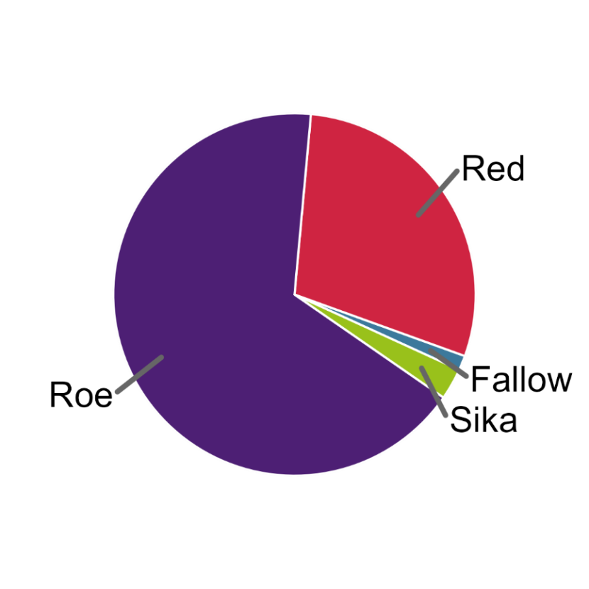 Pie chart showing the proportion of DVCs involving each deer species.