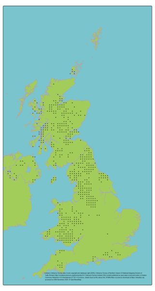 Genetic Scorecard Indicator - distribution map for blaeberry/bilberry