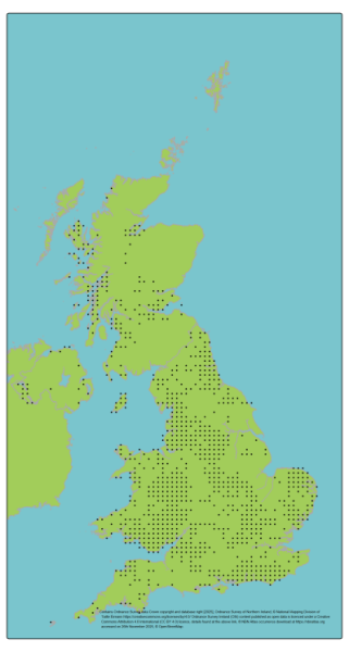 Genetic Scorecard Indicator - distribution map for Bluebell