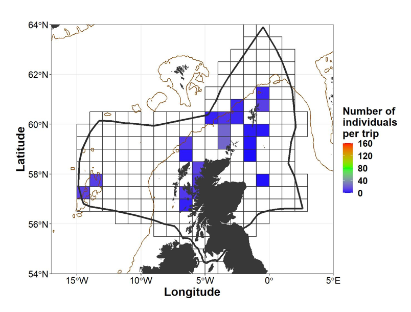 Map of the EEZ of Scotland showing discard data for ‘the common skate complex’ (Flapper skate (Dipturus intermedius) and / or Common blue skate (Dipturus batis) combined) from commercial fishing vessels for 2014-2018. Data is summed per ICES rectangle and filtered to exclude information in rectangles where three vessels or fewer fish. Values are presented as individuals per trip. 