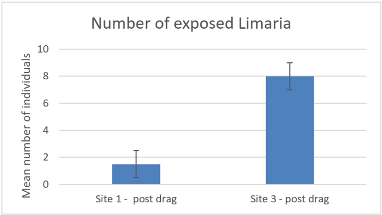 Bar graph showing the number of Limaria exposed on the surface of the seabed after an experimental creel drag by divers at two experimental sites in Loch Carron.