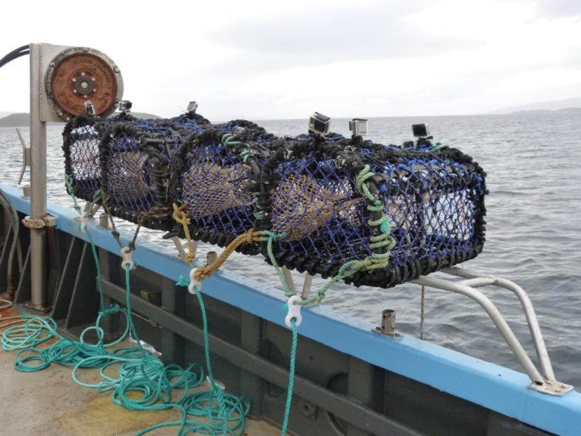 corresponding photograph illustrating the configuration of the experimental 4 creel array used at Pabay.