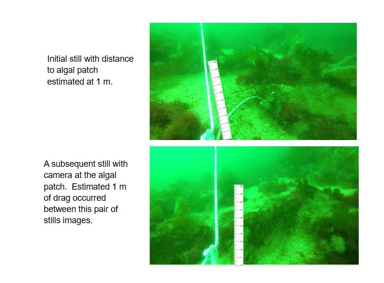 Video stills of seabed with superimposed scale bar.