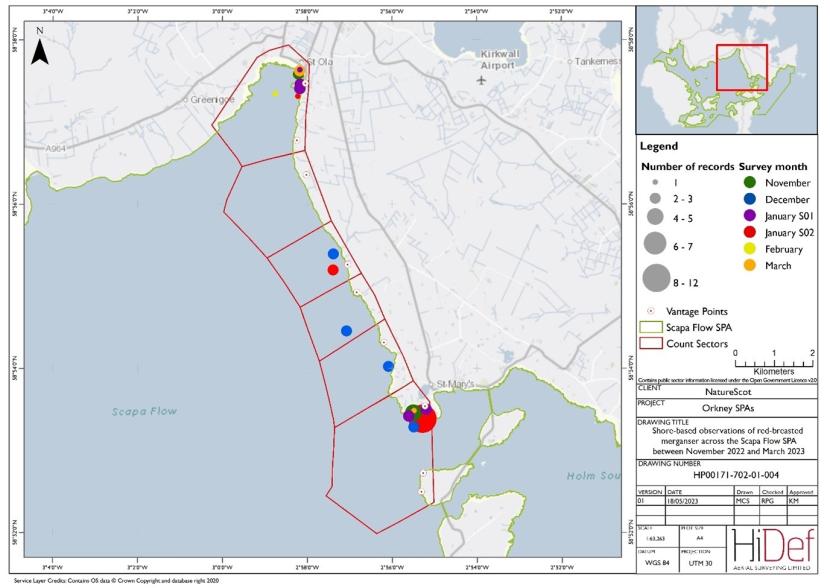 Map of shore-based observations of red-breasted merganser in sectors at the Scapa Flow Special Protected Area during the winter 2022/23 shore-based surveys.