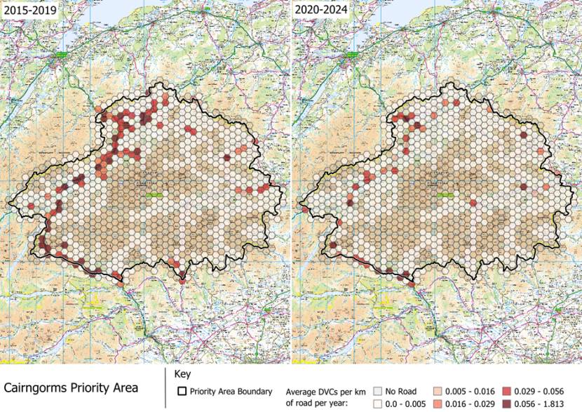 DVCs per km of road per year in the Caingorms National Park Deer Management Priority Area.