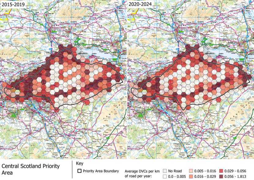 DVCs per km of road per year in the Central Scotland Deer Management Priority Area.