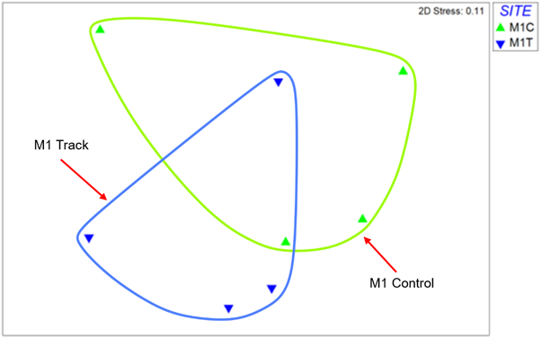 MDS plot of macrofauna core samples from site M1 with replicate samples from control and track sites distinguished.
