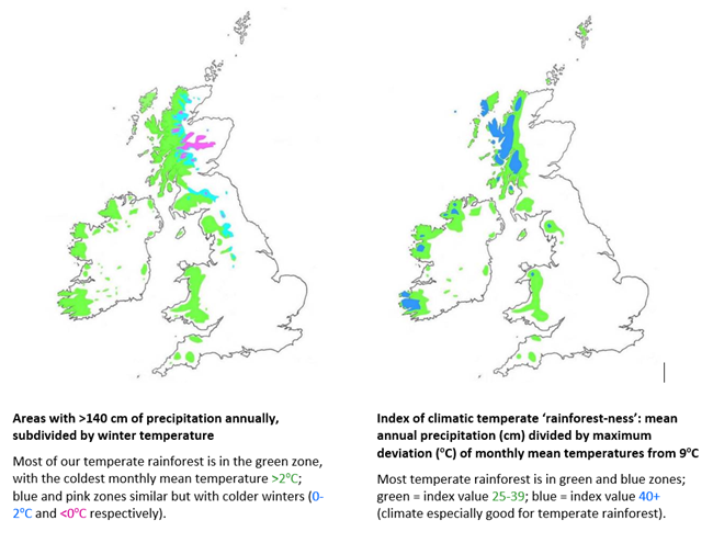 Two maps of climatic conditions in Great Britain and Ireland, illustrating that temperate rainforest habitats tend to occur in the north west