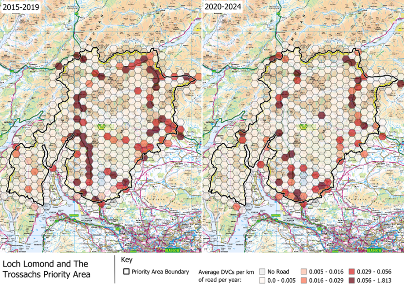 DVCs per km of road per year in the Loch Lomond and The Trossachs National Park Deer Management Priority Area.
