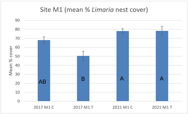Bar graph showing mean percentage cover of Limaria nest cover in control and track transects at site M1 in 2017 and 2021.