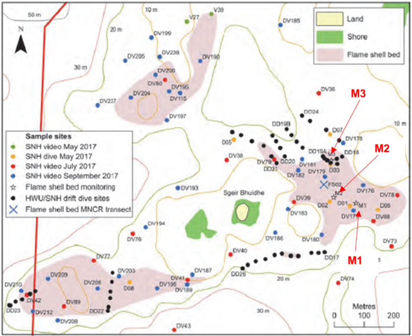 Map of the seabed area around the island of Sgeir Bhuidhe within Loch Carron.  The locations of the dredge track monitoring sites (M1, M2 & M3) are indicated by labels.