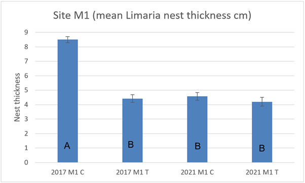Bar graph showing mean Limaria nest thickness in control and track transects at site M1 in 2017 and 2021. 