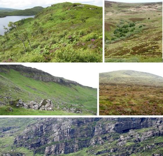A series of 5 photographs providing examples of complex vegetation mosaics in Scotland.