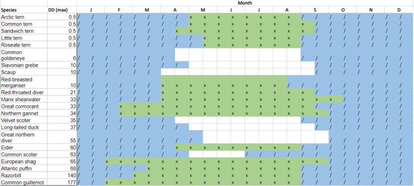 Species seasonality and dive depths. Blue denotes the non-breeding season, and green denotes the breeding season. Some species are not present in Scotland in the summer months and therefore a breeding season is not defined here. 