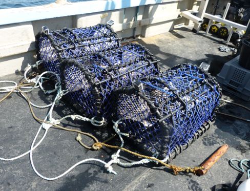 corresponding photograph illustrating the configuration of the experimental 3 creel array used in Loch Carron.