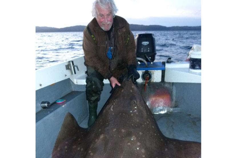 A man standing on a boat holding a skate which has been caught for tagging.