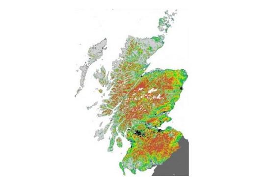 Map showing occupancy probability.