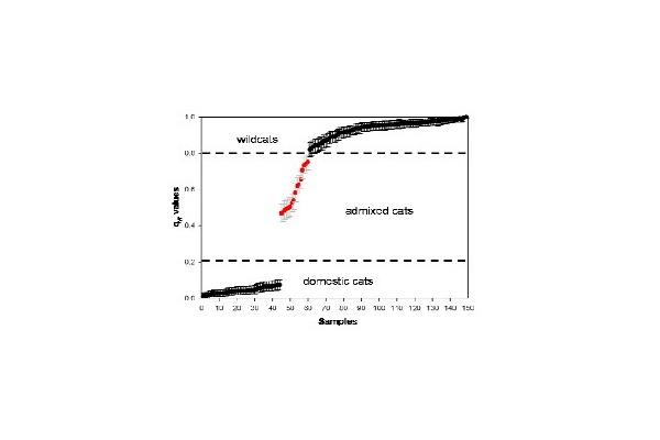 Graph.