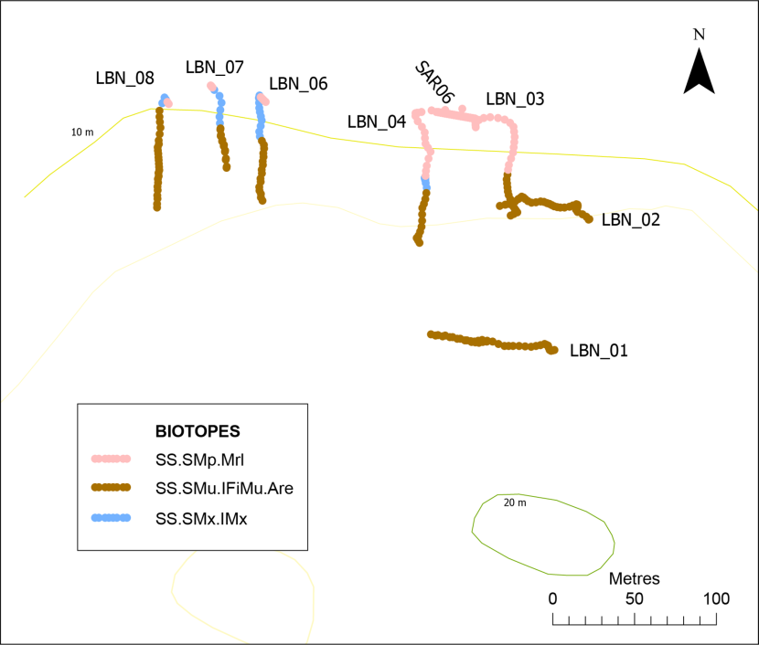 Biotope records in the north channel to Lamlash Bay