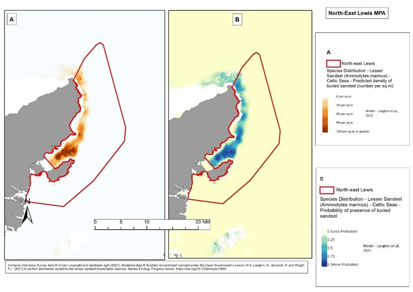 Example of lesser sandeel modelled data overlapping with the North-east Lewis MPA, demonstrating  A – Probability of buried lesser sandeel and B – Predicted density of lesser sandeel (per m2). 