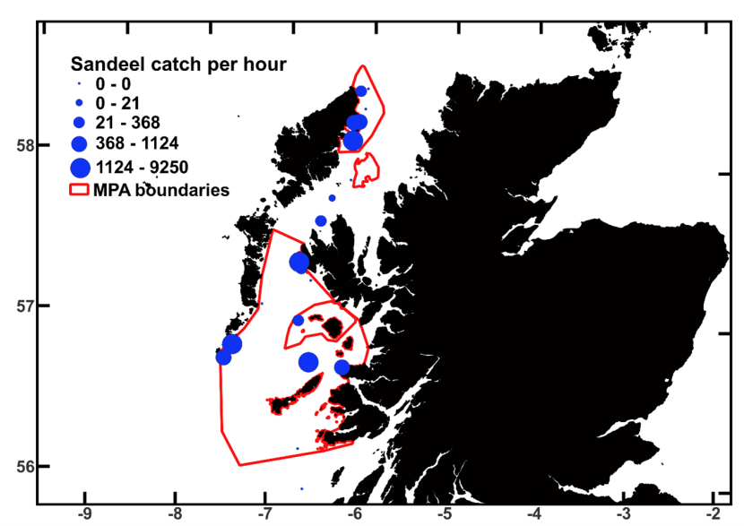 Local abundance indices (number of sandeel caught per hour) for the sandeel dredge tows of 1321A.