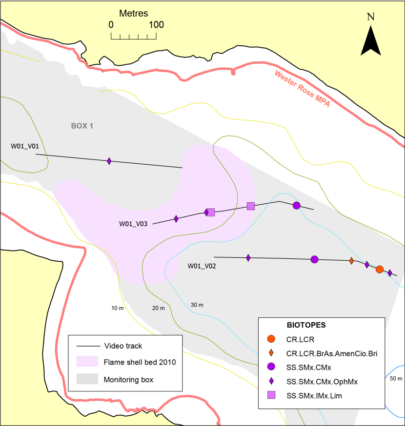 Biotope records in Sruth Lagaidh Narrows, Loch Broom.