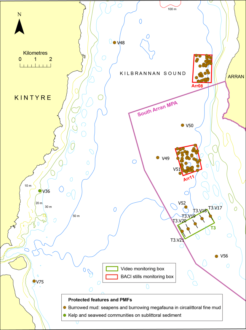 Protected features and PMF records in Kilbrannan Sound.