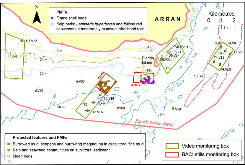 Protected feature and PMF records for southern coastline of Arran.