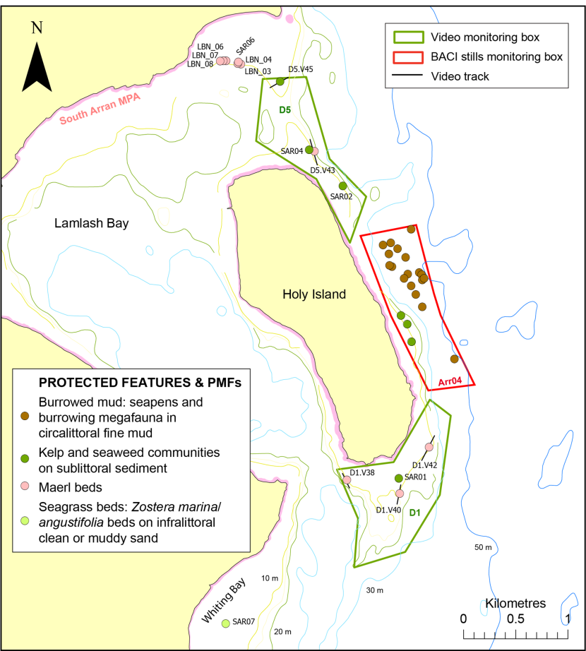 Protected feature and PMF records around Holy Island.