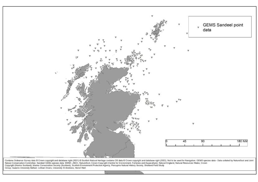 GeMS Sandeel point records including Ammodytes spp., Ammodytes marinus and Ammodytes tobianus.