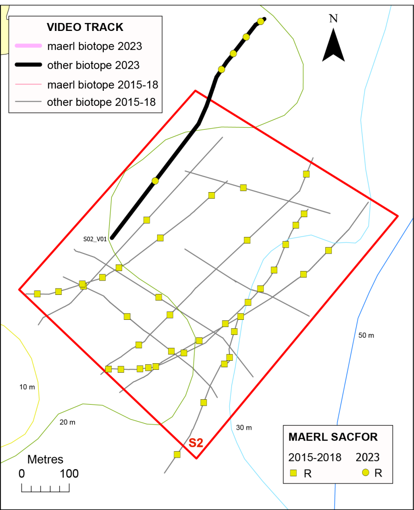 Temporal comparison of maerl records in box S2.