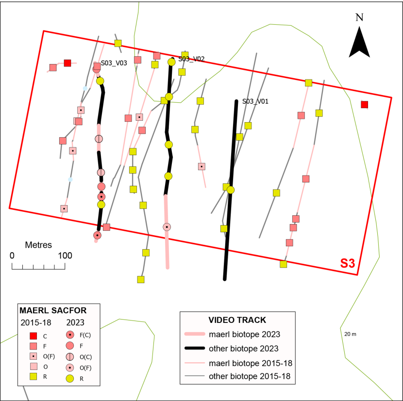 Temporal comparison of maerl records in box S3.