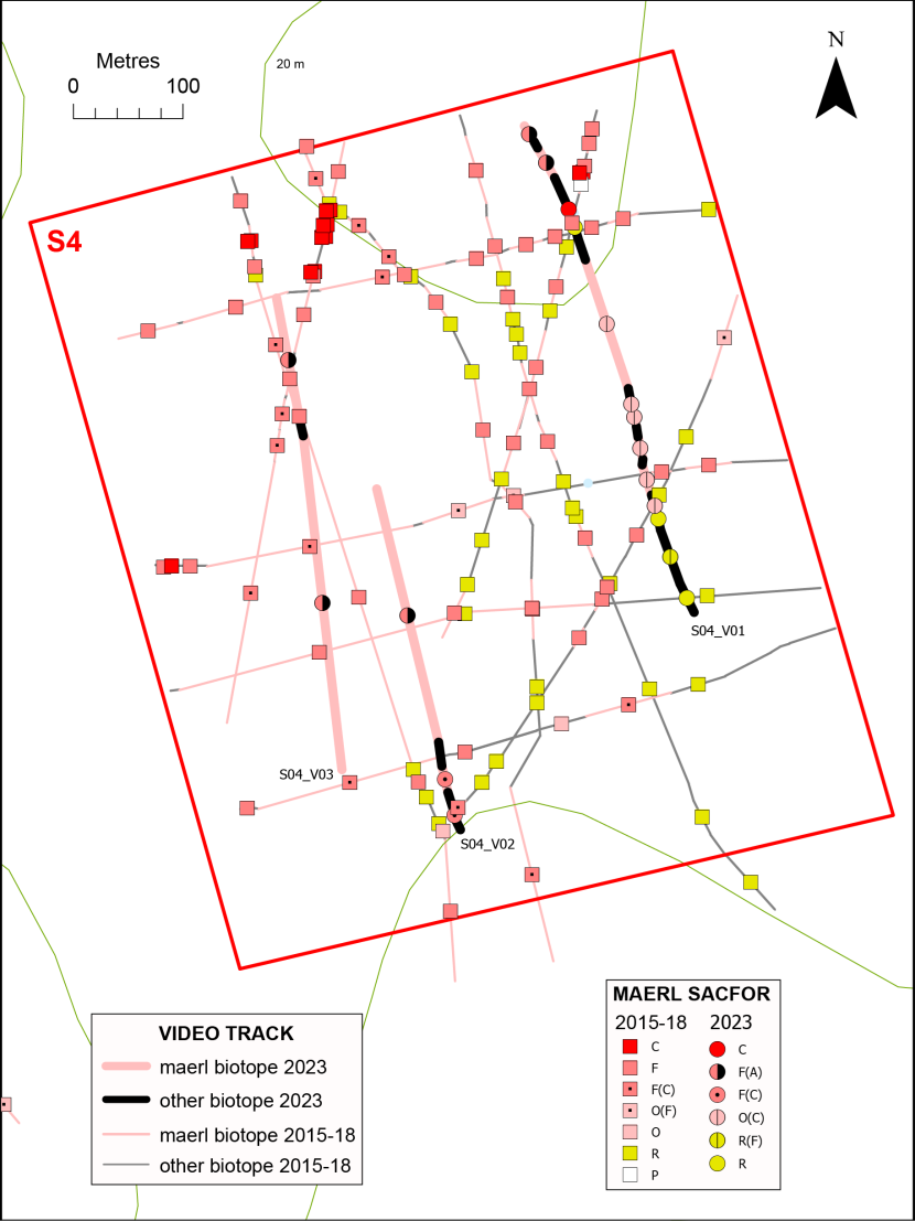 Temporal comparison of maerl records in box S4.