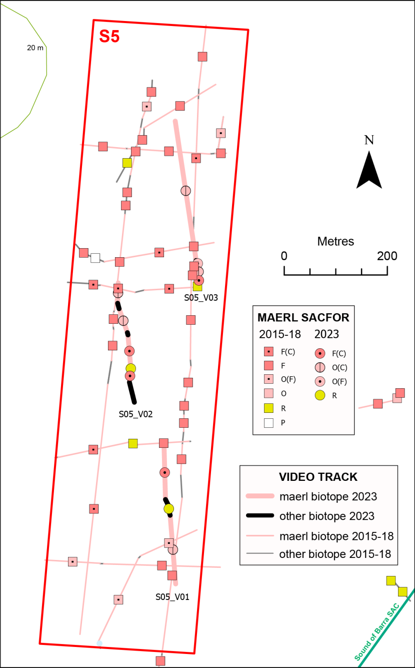 Temporal comparison of maerl records in box S5.