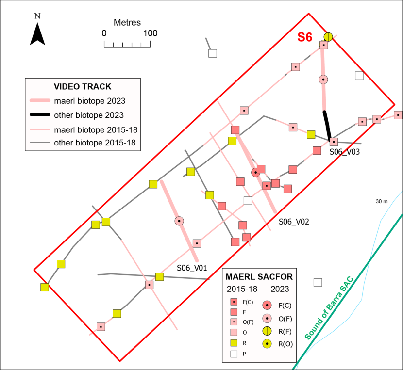 Temporal comparison of maerl records in box S6.