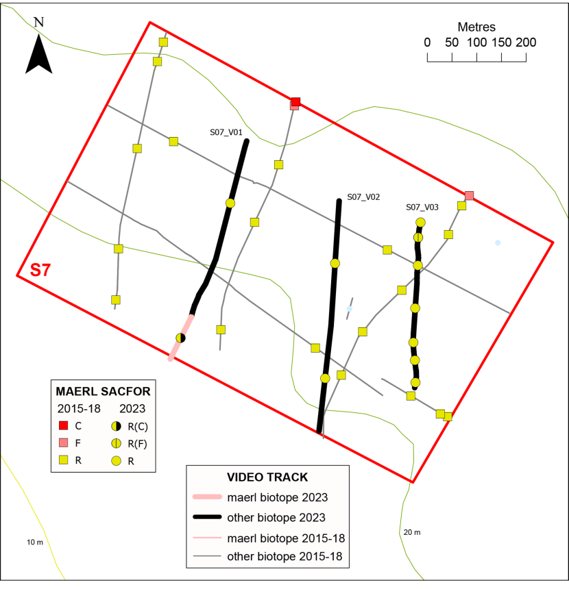 Temporal comparison of maerl records in box S7.