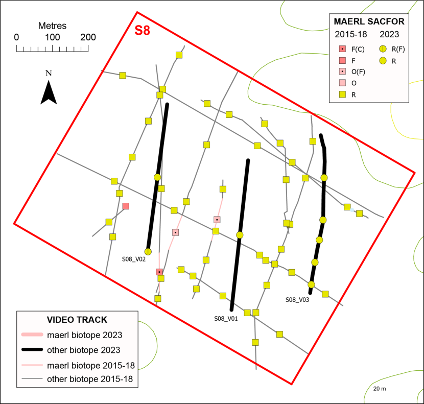 Temporal comparison of maerl records in box S8.