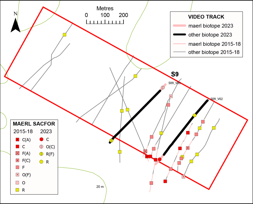 Temporal comparison of maerl records in box S9.